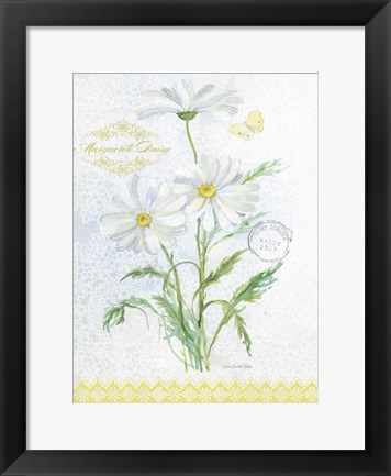 Framed Flower Study on Lace X Print