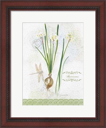 Framed Flower Study on Lace XII Print