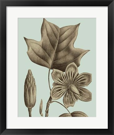 Framed Flowering Trees I Print