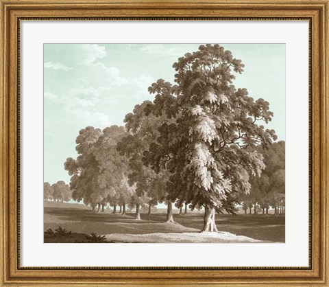 Framed Serene Trees II Print