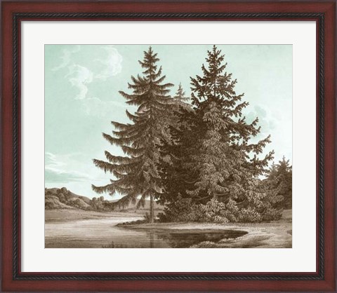 Framed Serene Trees III Print