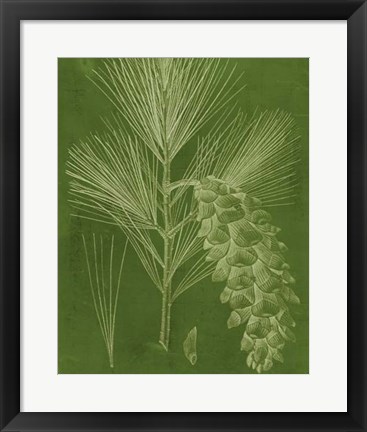 Framed Modern Pine VI Print