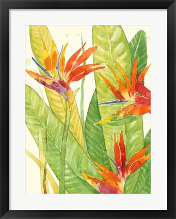 Framed Watercolor Tropical Flowers III Print