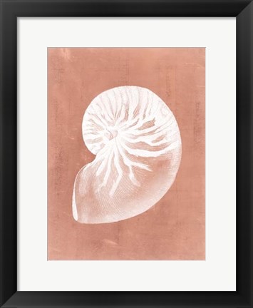 Framed Sealife on Coral V Print
