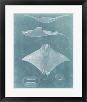 Framed Morning Swim II Print