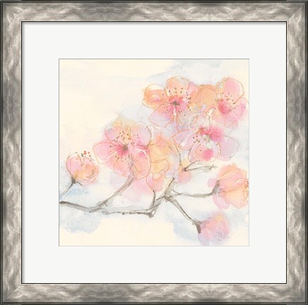 Framed Pink Blossoms III Print