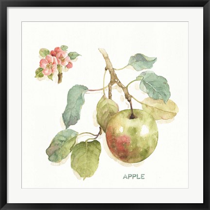 Framed Orchard Bloom I Print