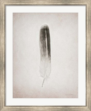 Framed Feather II BW Print