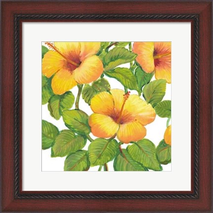 Framed Watercolor Hibiscus III Print