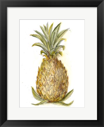 Framed Pineapple Sketch I Print