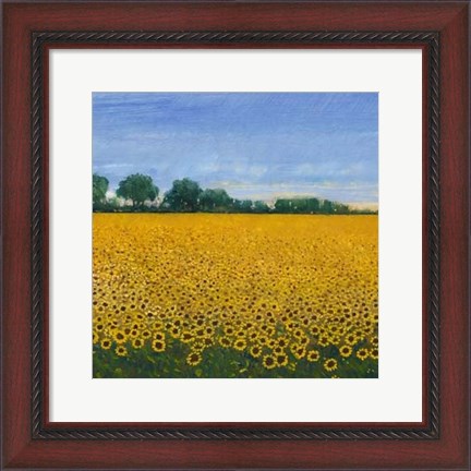 Framed Field of Sunflowers I Print