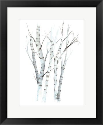 Framed Aquarelle Birches II Print