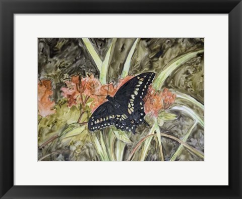 Framed Butterfly in Nature III Print