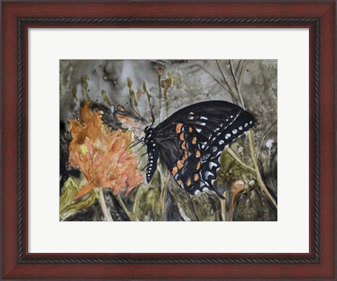 Framed Butterfly in Nature IV Print