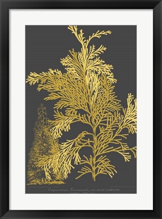 Framed Trees &amp; Leaves I Print