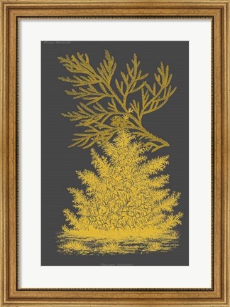 Framed Trees &amp; Leaves II Print