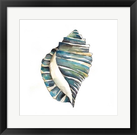 Framed Aquarelle Shells I Print