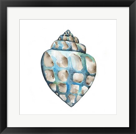 Framed Aquarelle Shells V Print