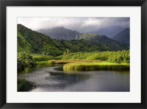 Framed Coastal Marsh V Print