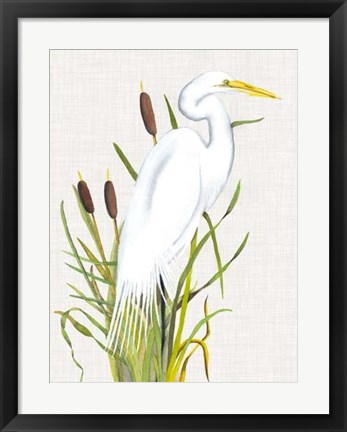 Framed Waterbirds &amp; Cattails III Print