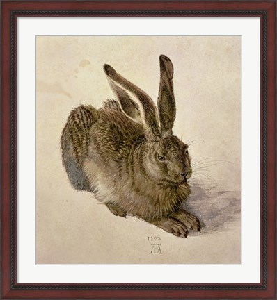 Framed Young Hare, c.1502 Print