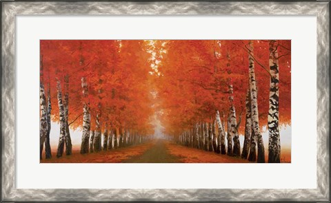 Framed Viale di Betulle Print