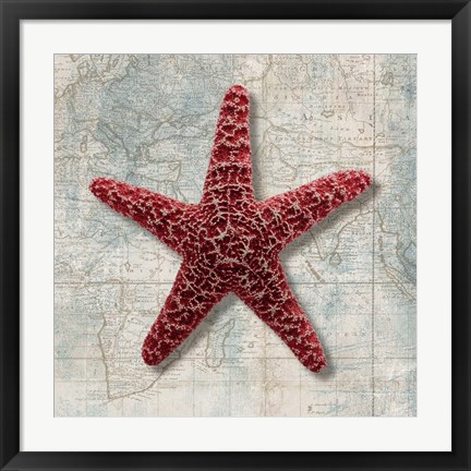 Framed Starfish Print