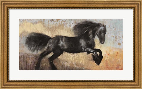 Framed Black Stallion Print