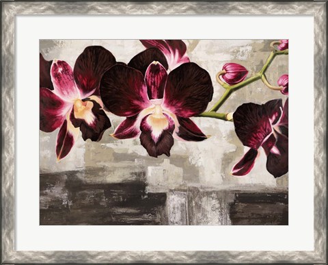 Framed Velvet Orchids Print