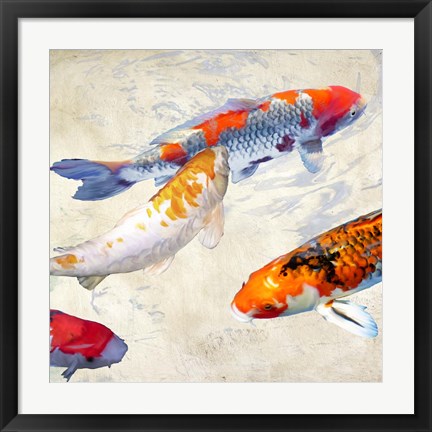 Framed Koi II Print