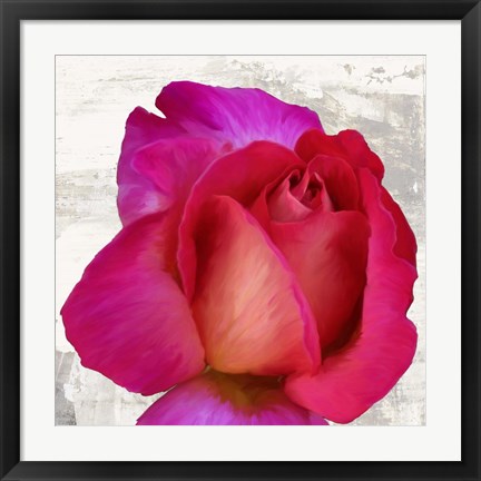 Framed Spring Roses III Print