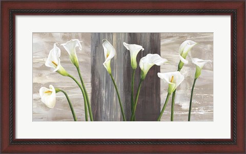 Framed Country Callas Print