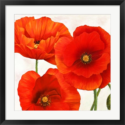 Framed Poppies I Print