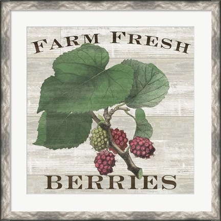 Framed Farm Fresh Berries I Print