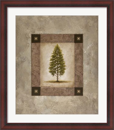 Framed European Pine I Print