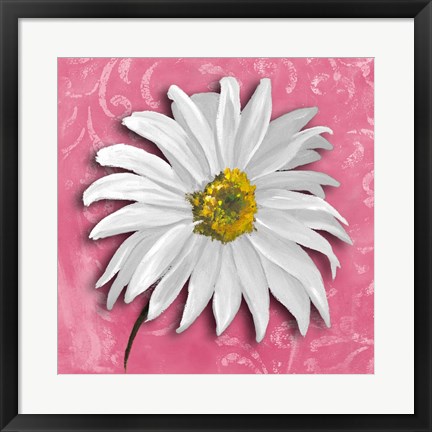 Framed Blooming Daisy III Print