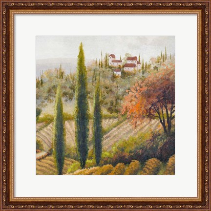 Framed Tuscany Vineyard II Print