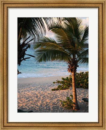 Framed Sunset Palms II Print