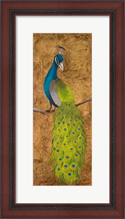 Framed Peacocks II Print