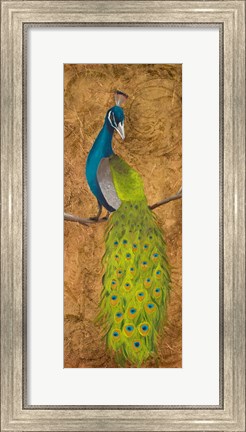 Framed Peacocks II Print