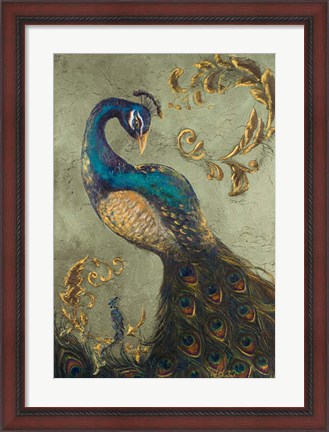 Framed Peacock on Sage II Print