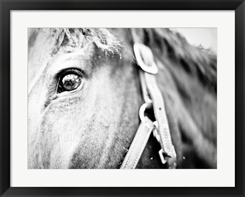 Framed Horseback Riding Print