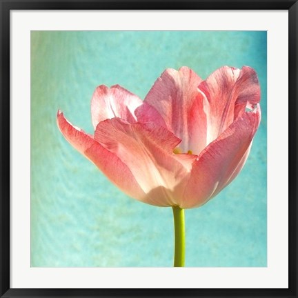Framed Pink Tulip Print