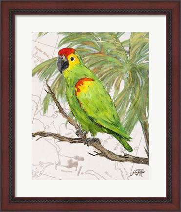 Framed Another Bird in Paradise II Print