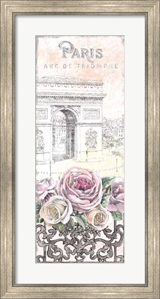 Framed Paris Roses Panel VII Print