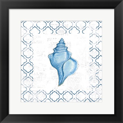 Framed Navy Conch Shell on Newsprint Print