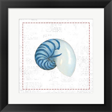 Framed Navy Nautilus Shell on Newsprint with Red Print