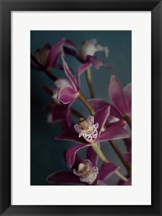 Framed Dark Orchid IV Print