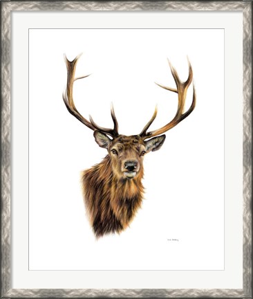 Framed Stag White Background Print