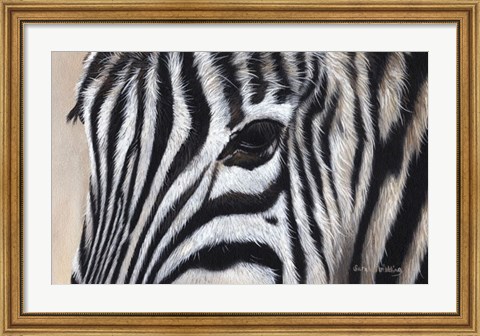 Framed Zebra Eyes Print